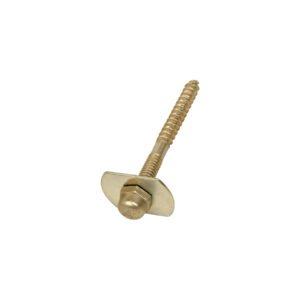 Bolsa con 2 pijas 1/4' x 66 mm para base de WC a piso, Foset